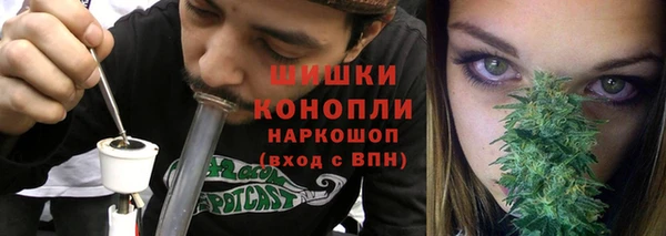 ПСИЛОЦИБИНОВЫЕ ГРИБЫ Новодвинск