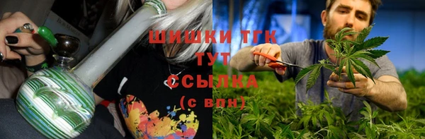 прущие крисы Чегем