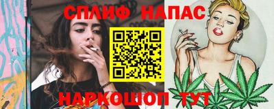 тгк Гусев
