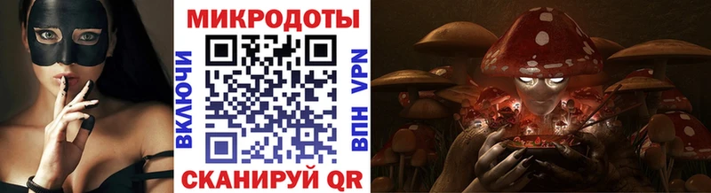 Псилоцибиновые грибы Psilocybe  Мегион 
