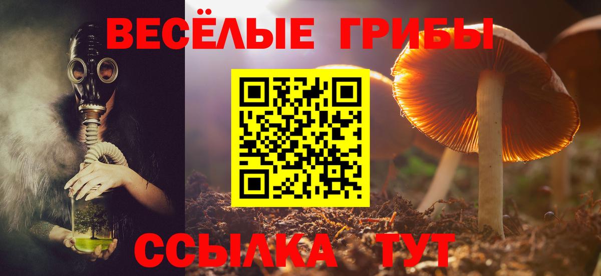 Псилоцибиновые грибы Cubensis  Вход с VPN  Мегион  Галлюциногенные грибы мицелий 